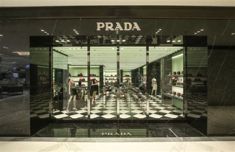 wwd prada business|Prada retail sales.